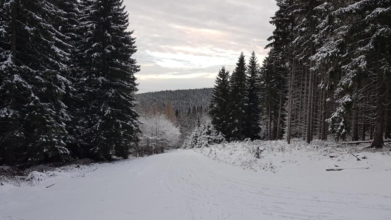 Dom Trzech Braci Villa Lądek-Zdrój Eksteriør billede
