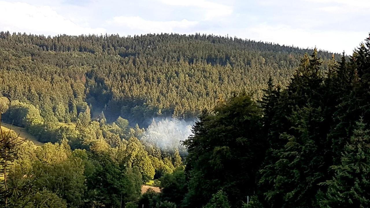 Dom Trzech Braci Villa Lądek-Zdrój Eksteriør billede
